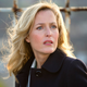 Gillian Anderson plays a bi character on The Fall.